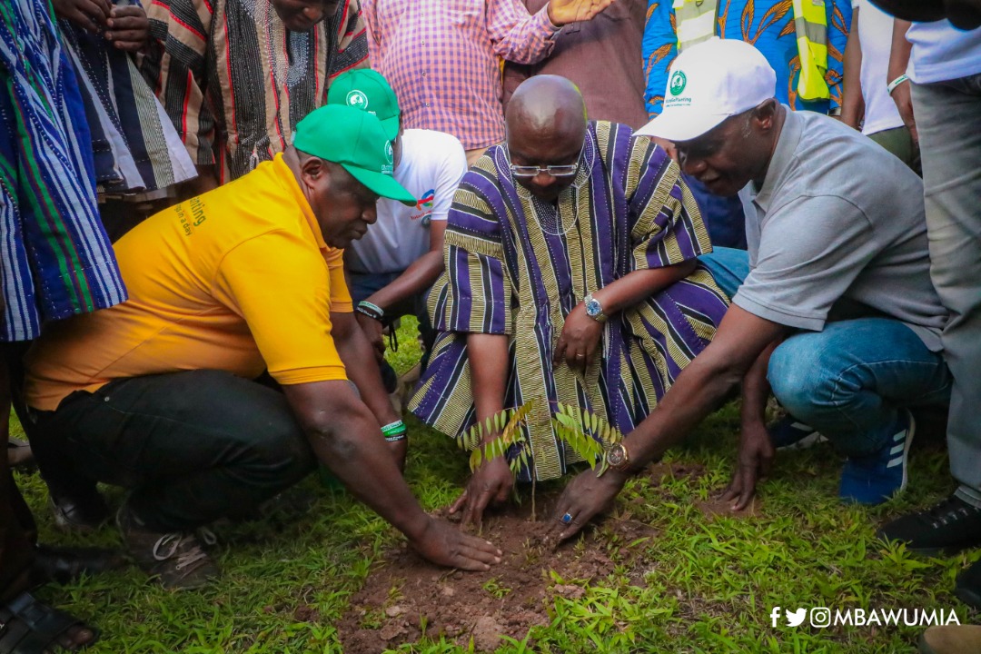 Vice President Dr. Mahamudu Bawumia gets a helping hand as he plants a seedling at the Tamale Airport
